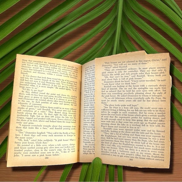 VINTAGE 1950s My Brother’s Keeper by Marcia Davenport – Cardinal Edition C-224 - Picture 7 of 8